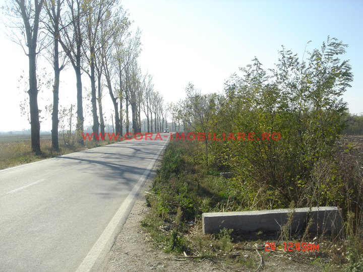 Dsc03562