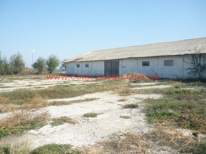 Picture-003