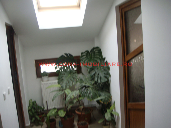 Dsc08600