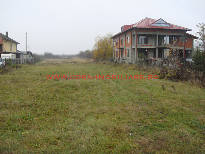 Dsc09299