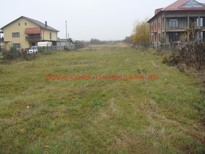 Dsc09295