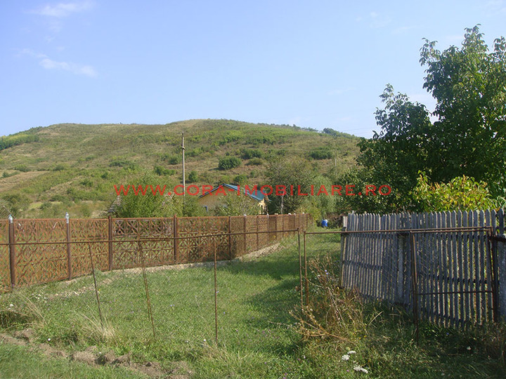 Dsc05307
