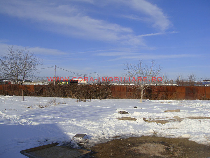 Dsc06350