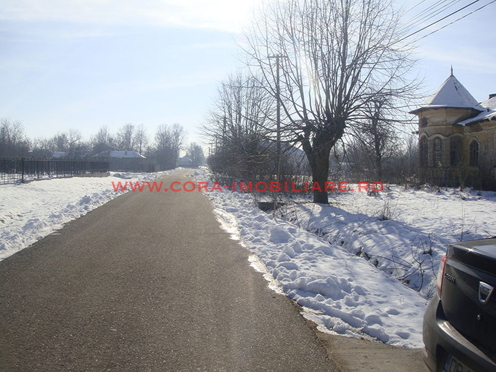Dsc00484