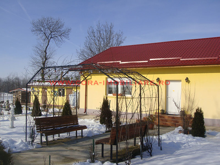 Dsc00509