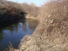 Dsc03795