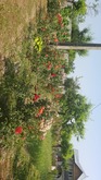 Img-20190621-wa0024