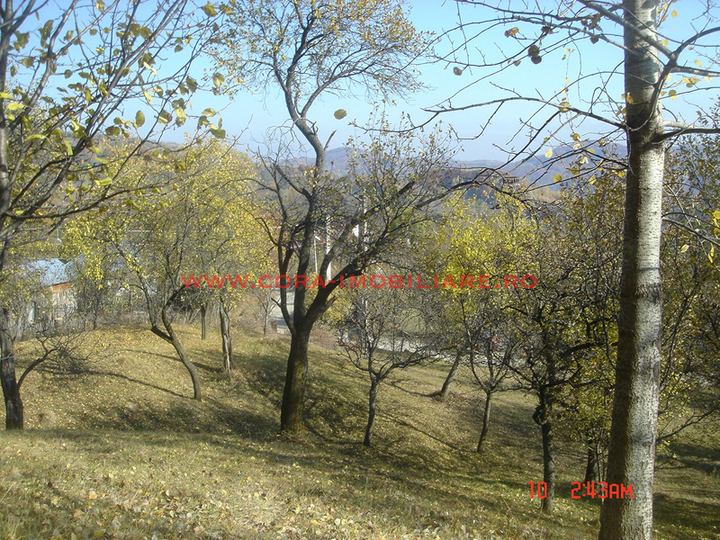 Dsc00593