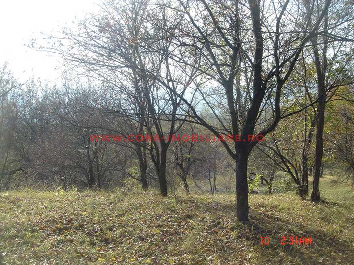Dsc00586