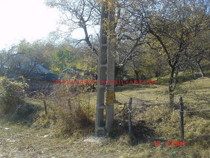 Dsc00589