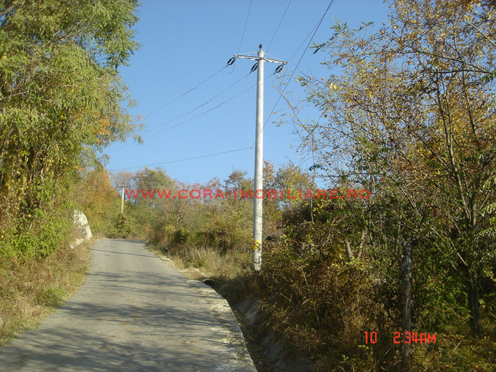 Dsc00588