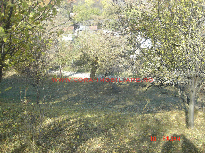Dsc00594