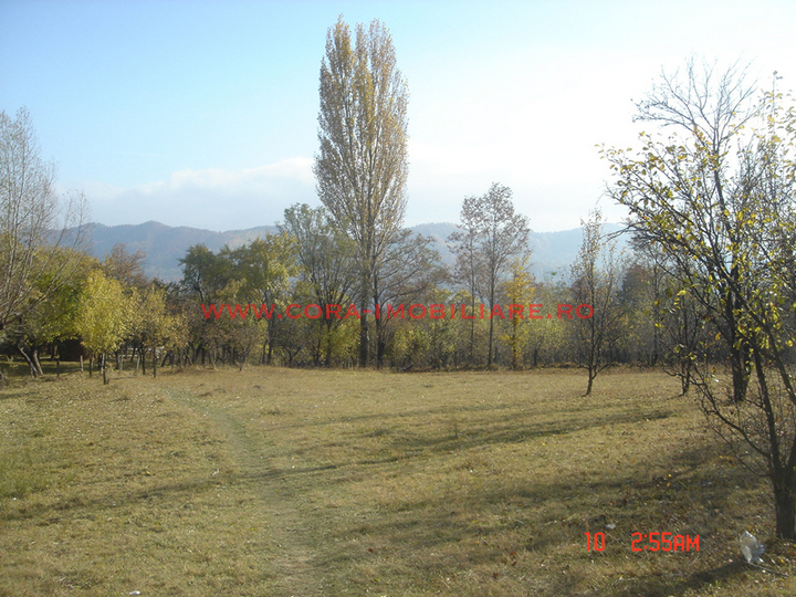 Dsc00599