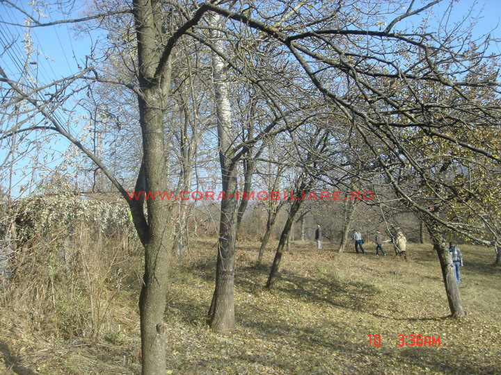 Dsc00601