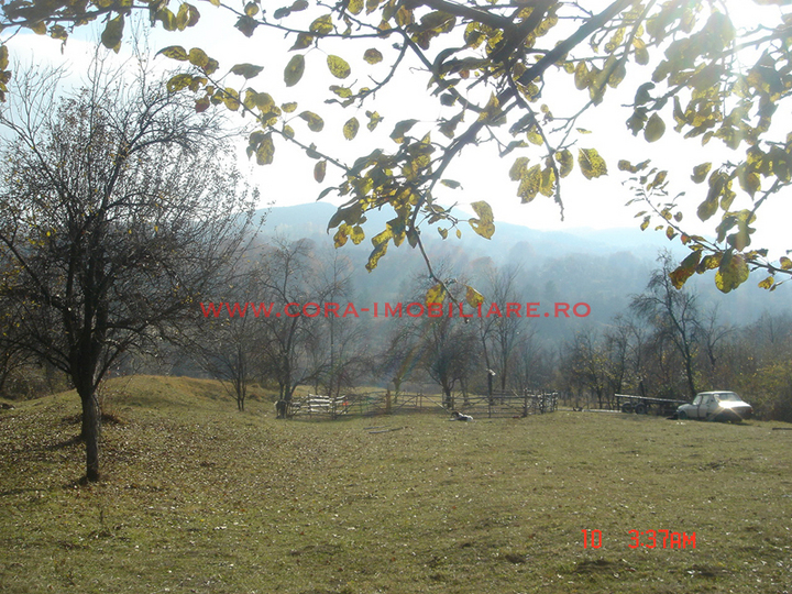 Dsc00602