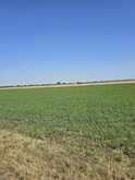 Whatsapp_image_2025-08-11_at_10.52.43_(3)