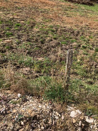 F6cb1776-b1d6-418c-9d55-53a394b7b58e