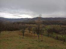 C2537aa9-99ec-4b63-b641-adc6856d6729