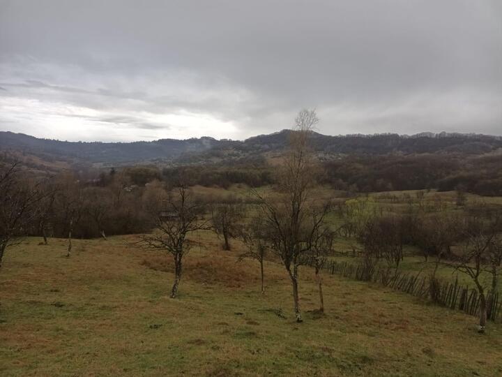 C2537aa9-99ec-4b63-b641-adc6856d6729