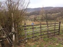 57b89585-1726-4357-9082-81aa3025a026