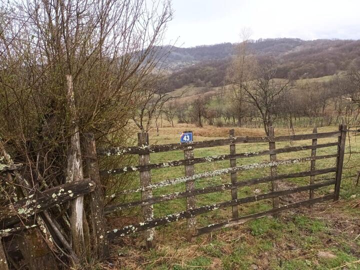 57b89585-1726-4357-9082-81aa3025a026