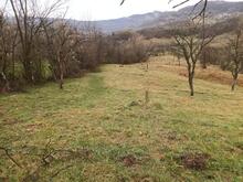 44d48d6f-b17b-4d2b-8406-3506b16d99af