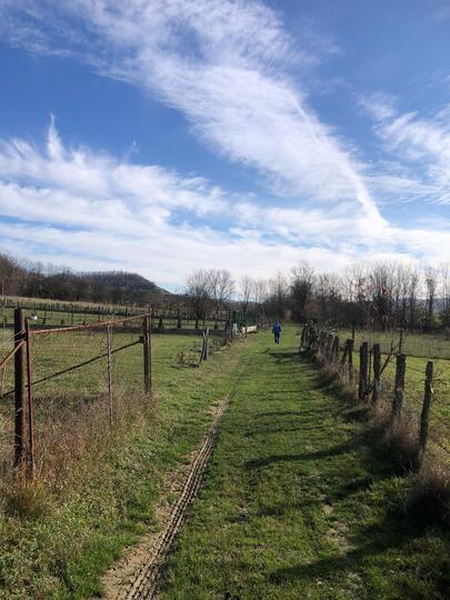 Ea2d7c30-7afb-426b-80e2-387e0e45e943