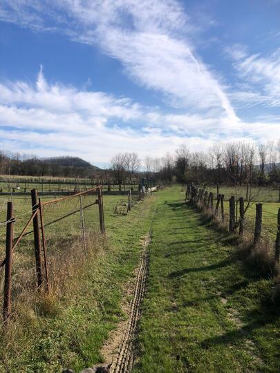 Vezi toate fotografiile acestui imobil