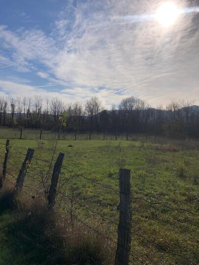 6a237ea9-fcd9-4102-ae8e-7e5898cba624