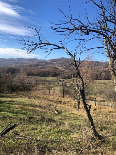 90497b3e-6ebe-4ee5-aece-00b751e4f375