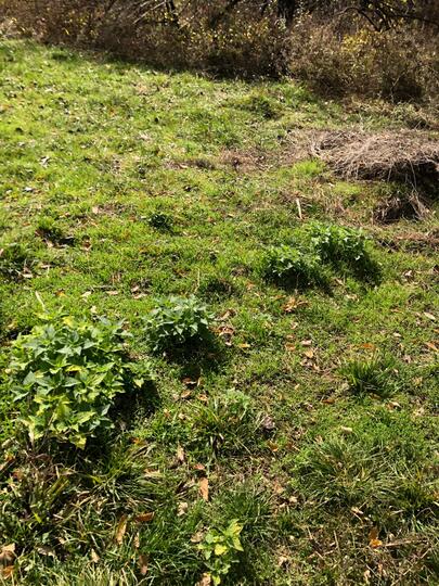 D5efaf24-86c2-46eb-b577-8eb856dd2961