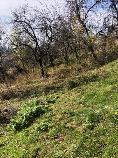 Cd650958-96d6-442a-8151-a29b657028a6