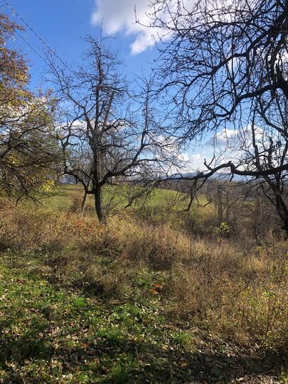 859f379e-d5ae-4ee4-bd9c-9f9c6d78ab5b