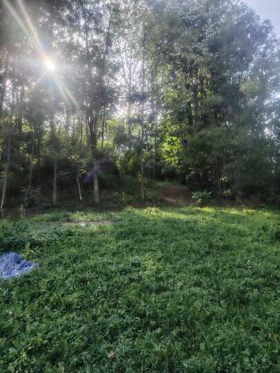 A4a4a6b2-57a2-4a39-8be4-61f47ad0bde3