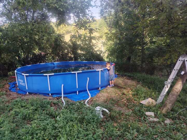 5344fc38-6537-4cbb-83cc-53193481d94b