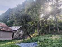 98e304cd-9437-4733-a26a-0c15aef29bae