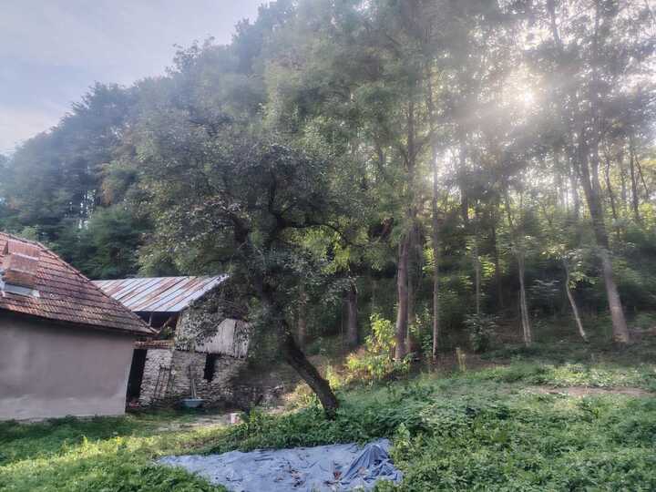 98e304cd-9437-4733-a26a-0c15aef29bae