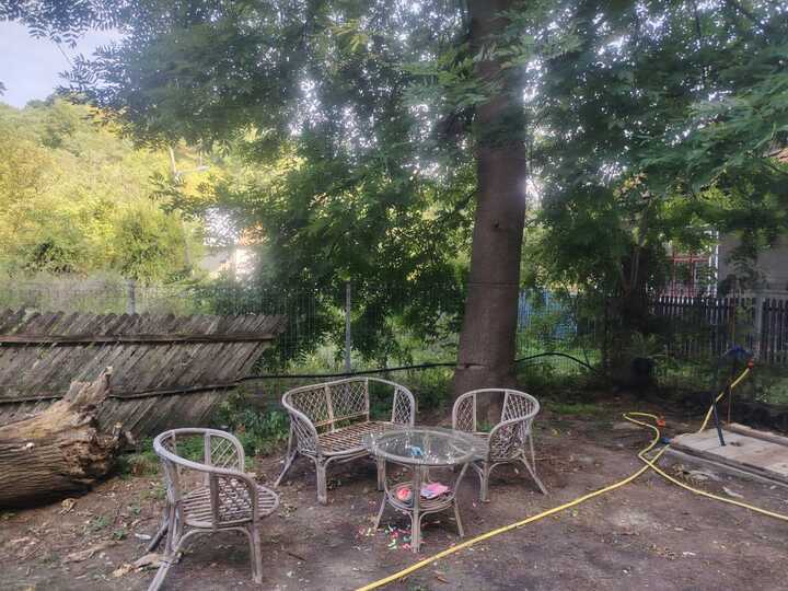 21d7d79b-1e39-4345-8469-babd3c613101