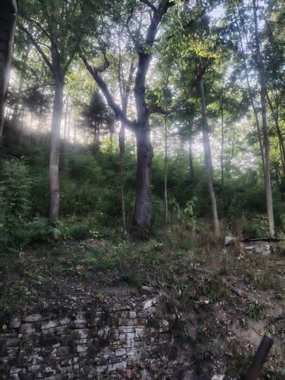 3c7daaf3-aea0-47c7-9d31-27cf4e5dd156