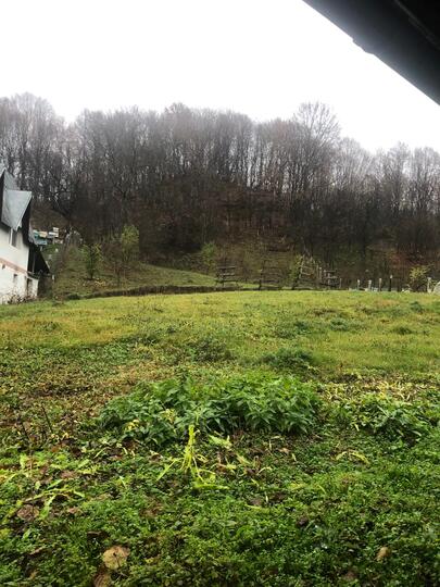 E9b501e4-ffea-4365-aae1-0c089341867e