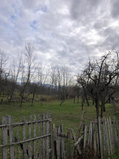 569fb9a8-6029-43a5-89fe-4a16aa60c648